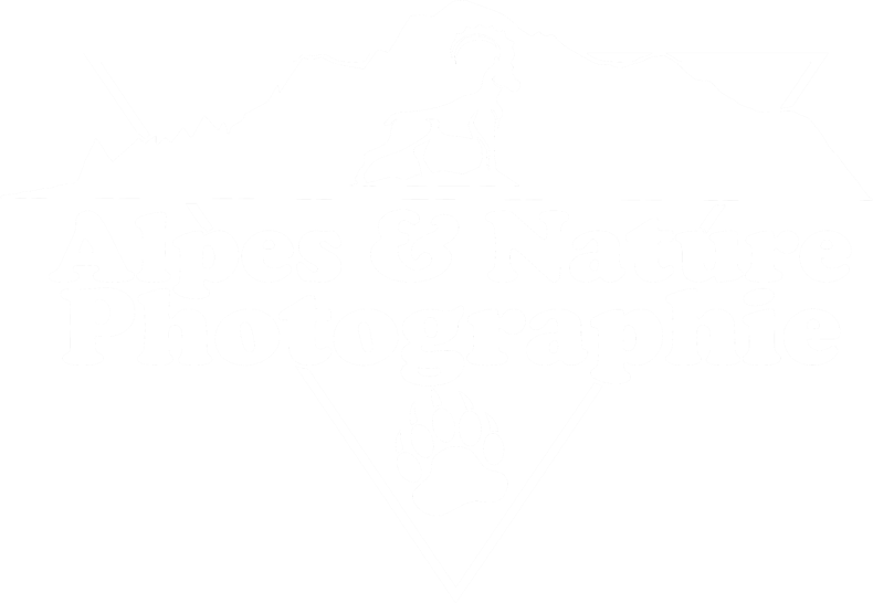 Alpes & Nature Photographie